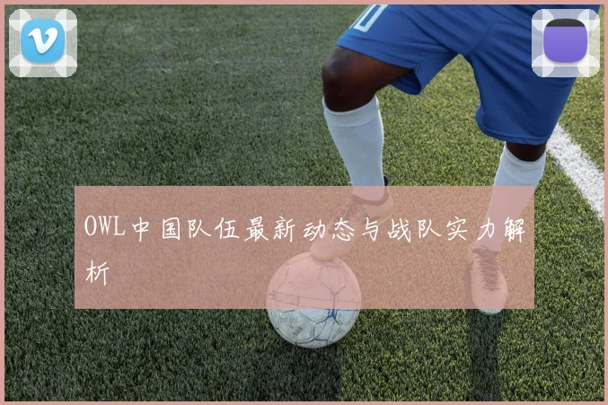 OWL中国队伍最新动态与战队实力解析