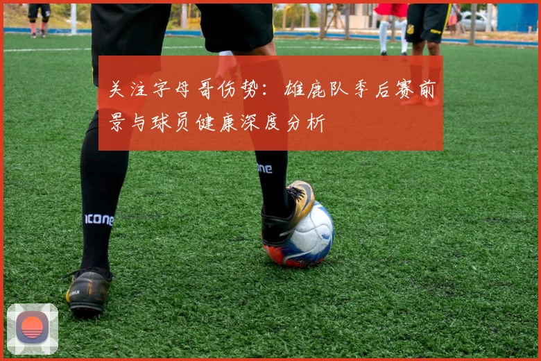 关注字母哥伤势：雄鹿队季后赛前景与球员健康深度分析