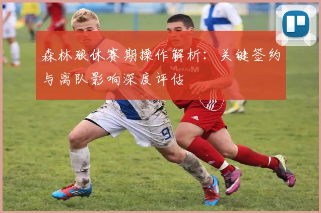 森林狼休赛期操作解析：关键签约与离队影响深度评估