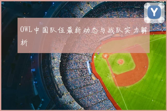 OWL中国队伍最新动态与战队实力解析