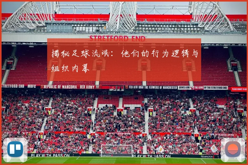 揭秘足球流氓：他们的行为逻辑与组织内幕