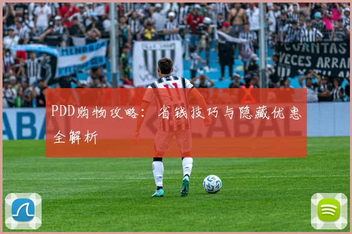 PDD购物攻略：省钱技巧与隐藏优惠全解析