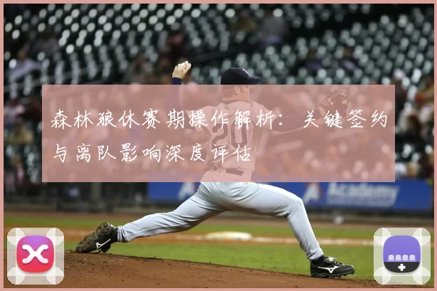 森林狼休赛期操作解析：关键签约与离队影响深度评估