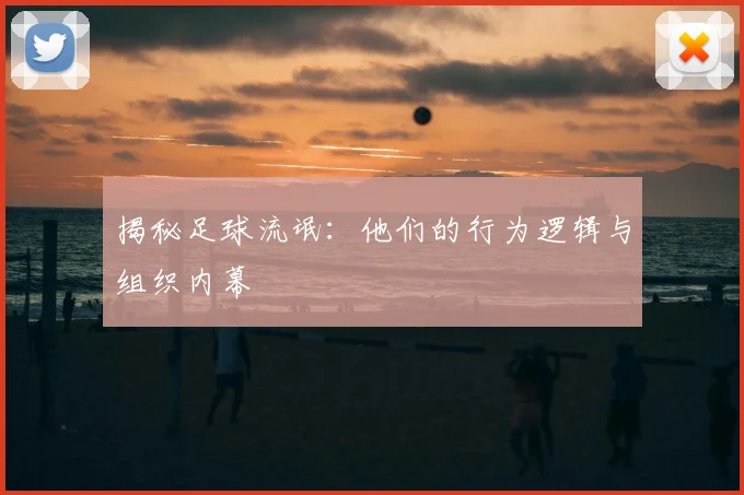 揭秘足球流氓：他们的行为逻辑与组织内幕
